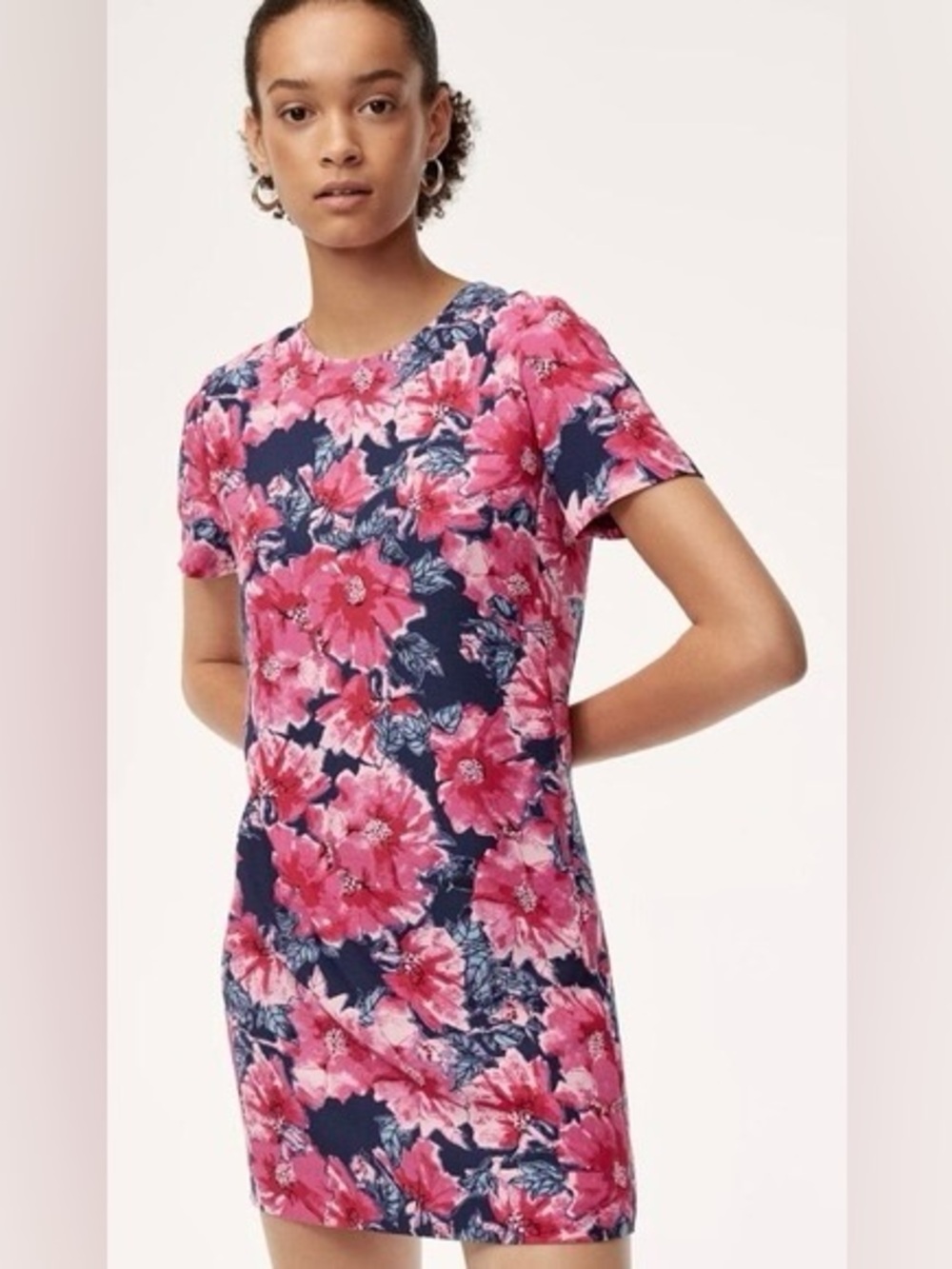Aritzia Babaton Patricio Dress